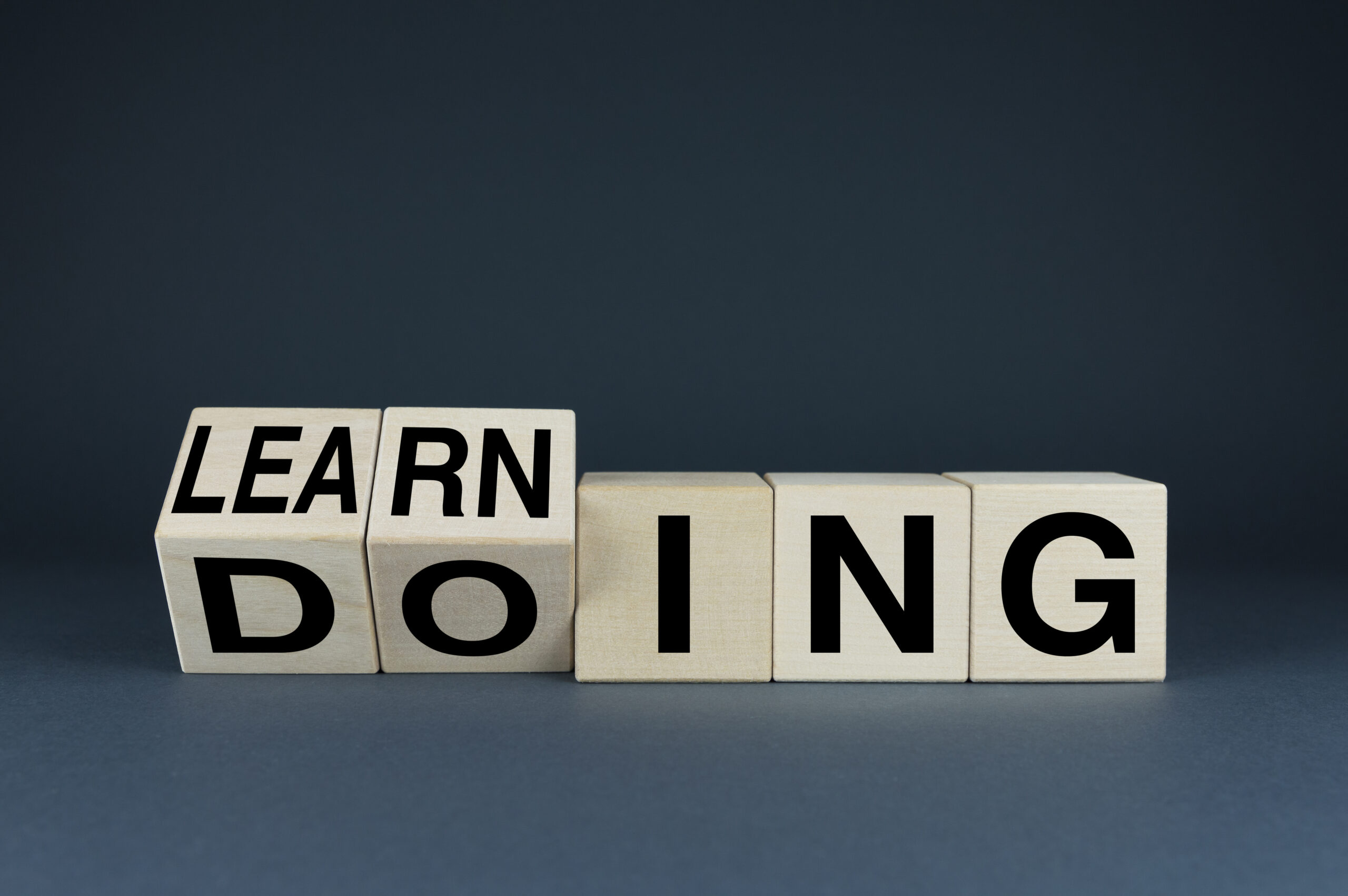 Learning and Doing. Cubes form words Learning - Doing. The concept of education and monetization of their knowledge